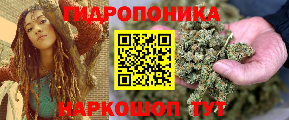 Канабис планчик  Конопля Bruce Banner  Чистополь  Марихуана THC 21%  Вход с VPN 